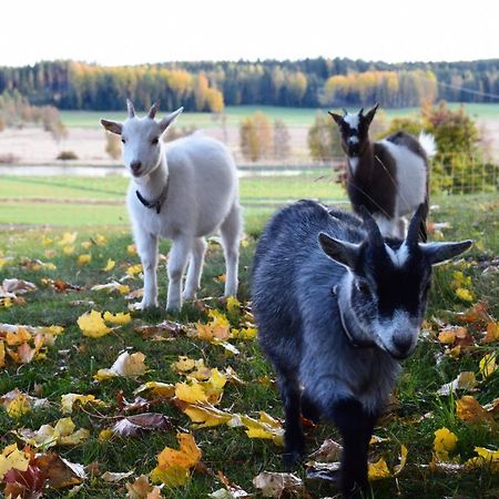 Countryside Villa Skogsbacka Raseborg Eksteriør bilde
