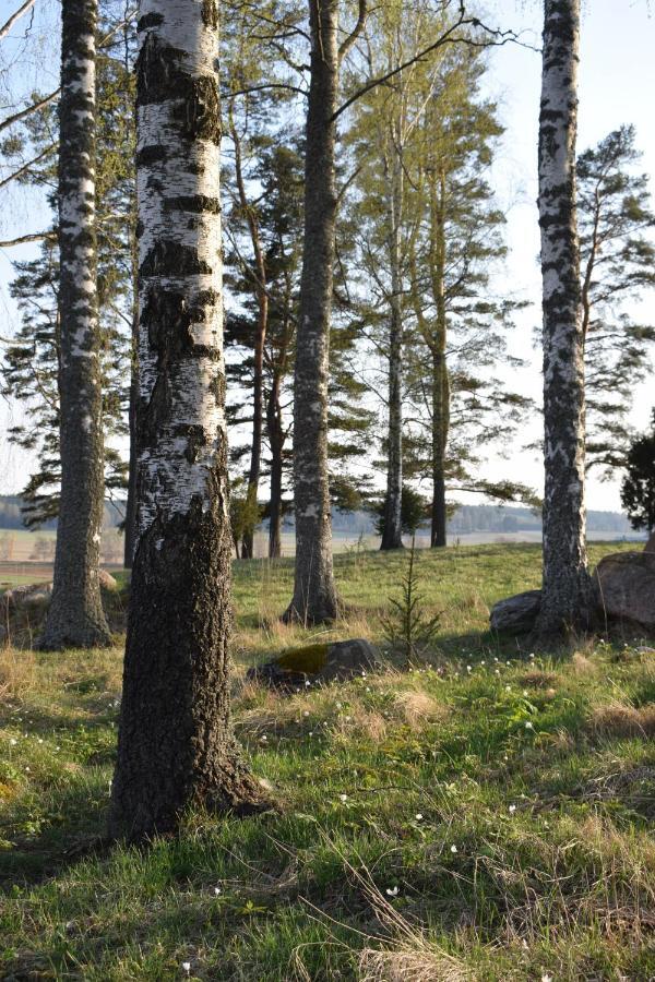 Countryside Villa Skogsbacka Raseborg Eksteriør bilde